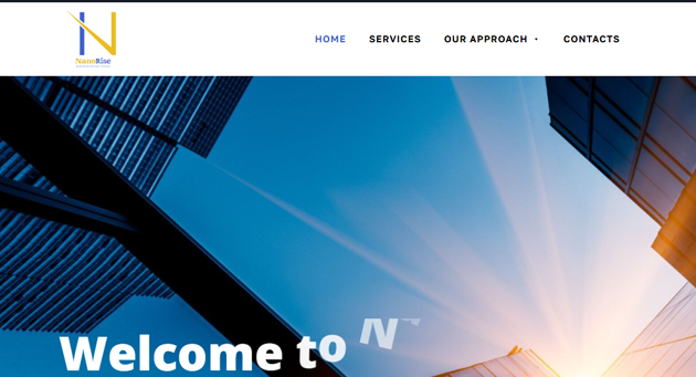 nanoriseglobal.com